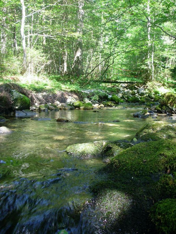 Appartamento Weideblick Tauplitz Esterno foto