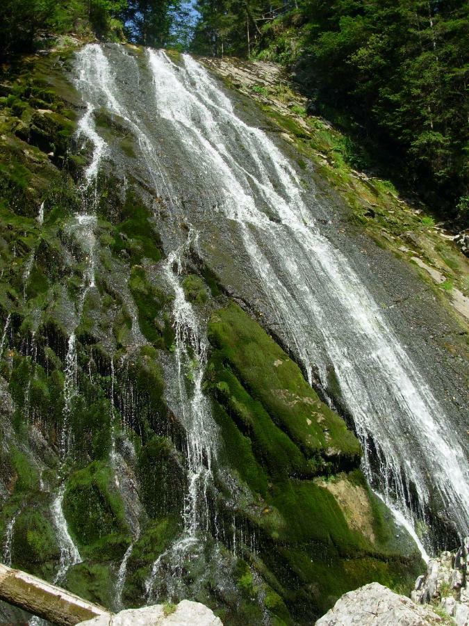 Appartamento Weideblick Tauplitz Esterno foto