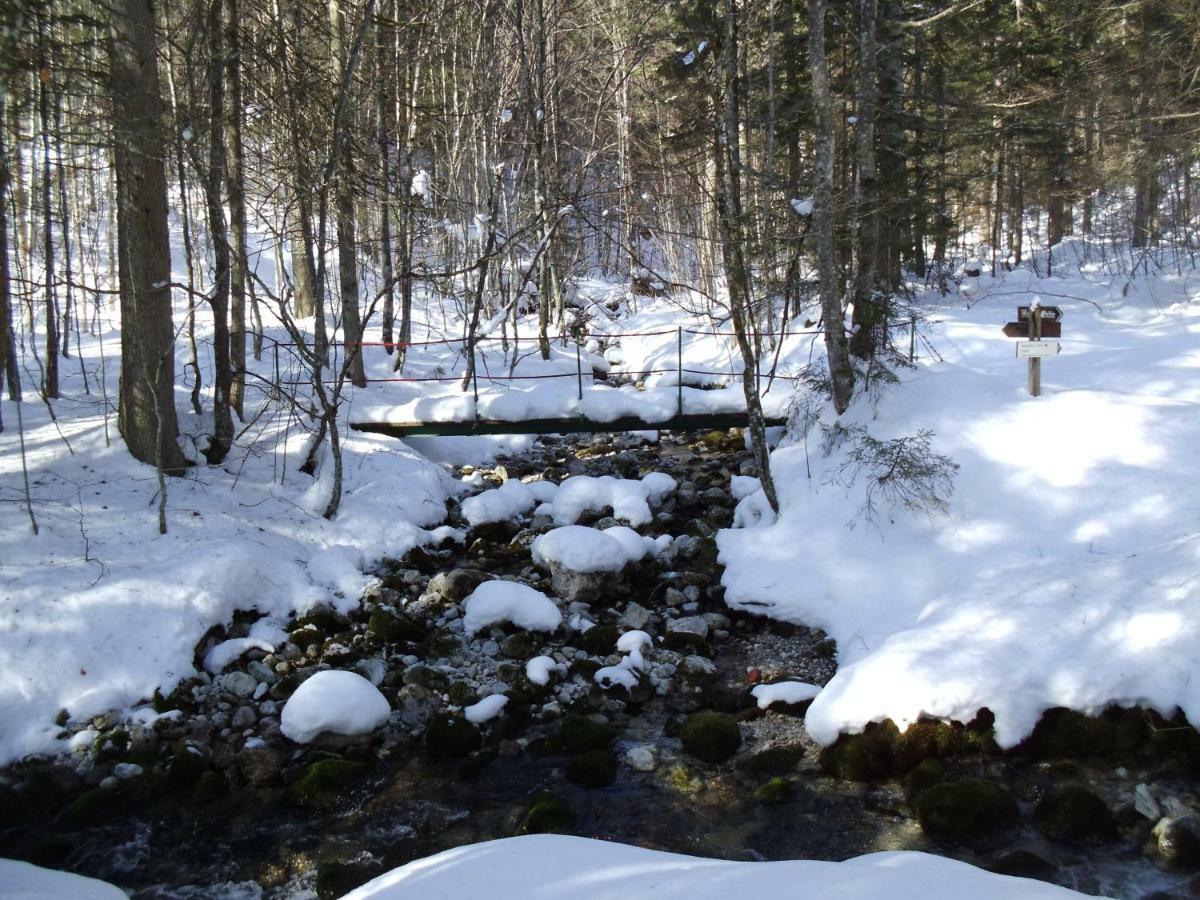 Appartamento Weideblick Tauplitz Esterno foto