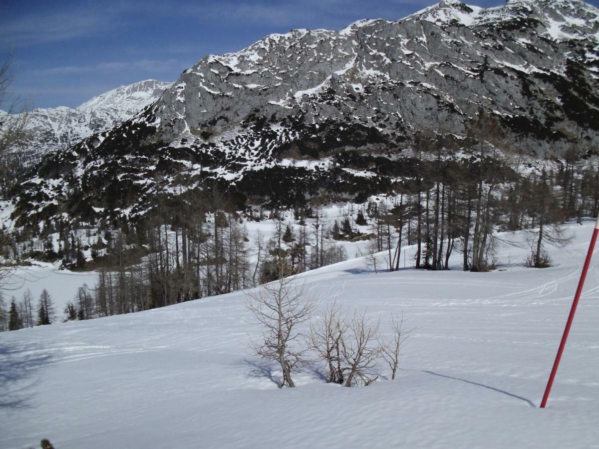 Appartamento Weideblick Tauplitz Esterno foto