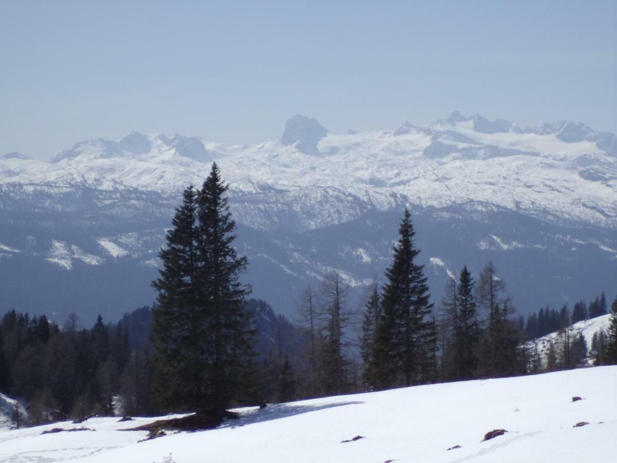 Appartamento Weideblick Tauplitz Esterno foto